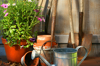 What are the benefits of gardening?