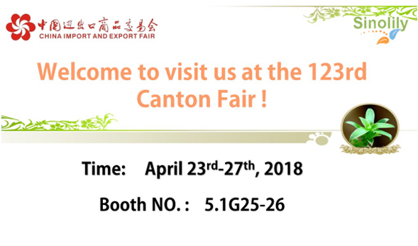 Sinolily team is going to attend the 123rd Canton Fair from April 23rd-27th, 2018.