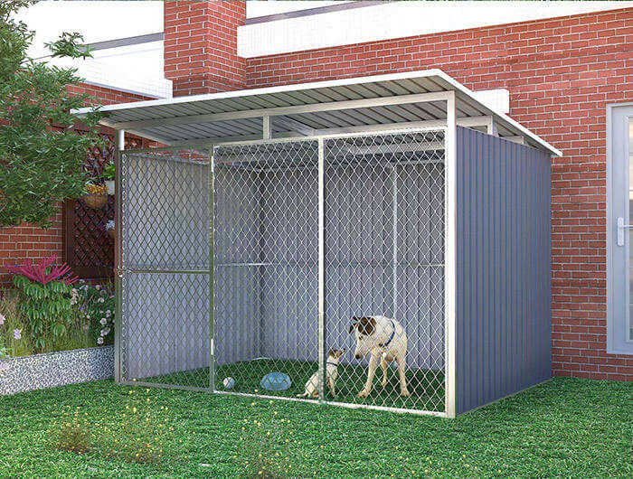 Dog House 